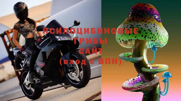 марки nbome Богданович